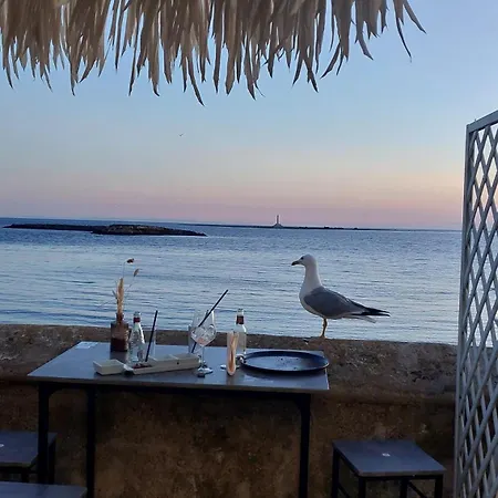 Alaka Gallipoli
